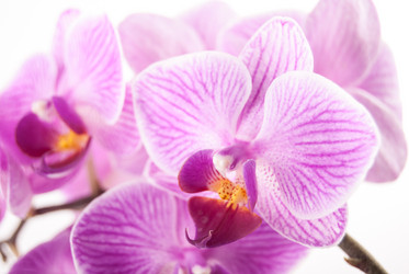 Similar image 7694911