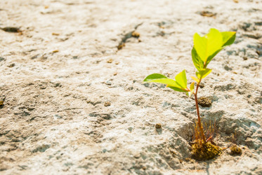 Similar image 7694918