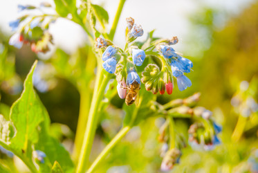 Similar image 7694919