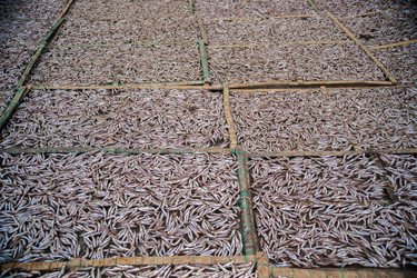 Similar image 7694951