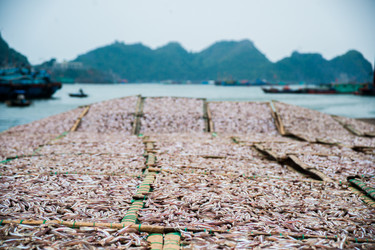 Similar image 7694953