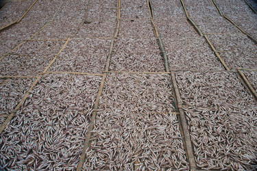 Similar image 7694958