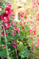 Similar image 7694969