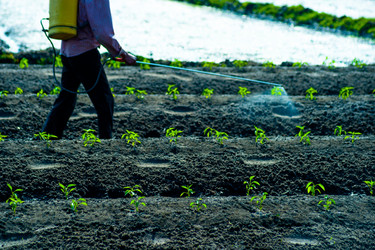 Similar image 7694970