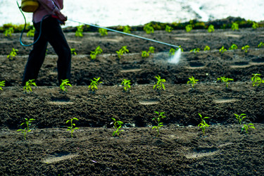 Similar image 7694978