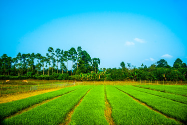 Similar image 7694982