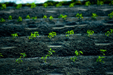 Similar image 7694986