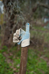 Similar image 7695391