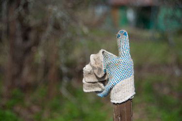 Similar image 7695392