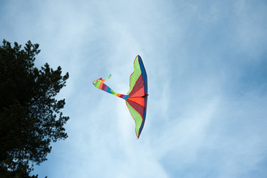 Similar image 7695395