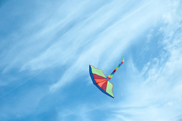 Similar image 7695397