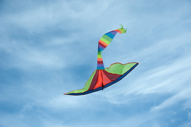 Similar image 7695399