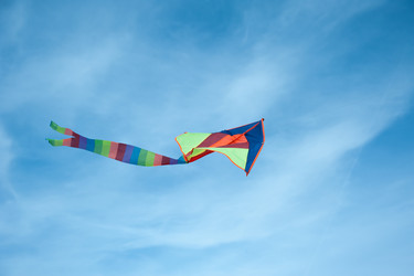 Similar image 7695400