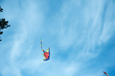 Similar image 7695401