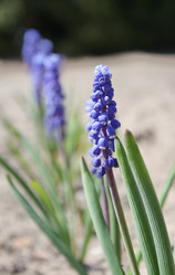 Similar image 7695788