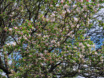 Similar image 7696795