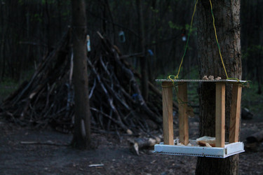 Similar image 7696804