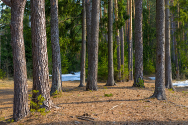 Similar image 7696823