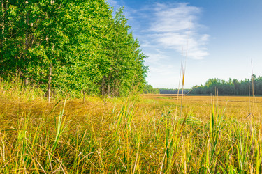 Similar image 7698728