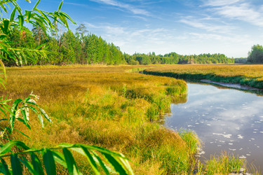 Similar image 7698729