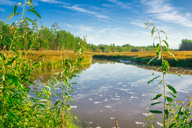 Similar image 7698733