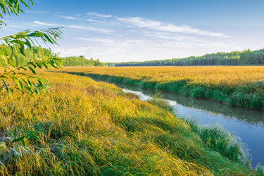 Similar image 7698736