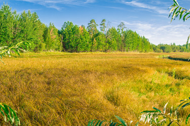 Similar image 7698738