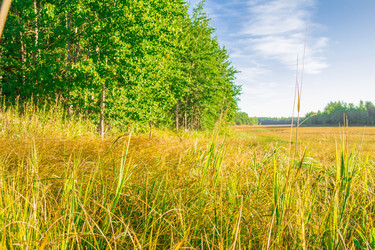 Similar image 7698739