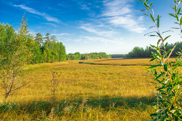 Similar image 7698741