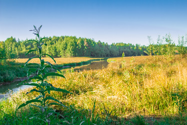 Similar image 7698744