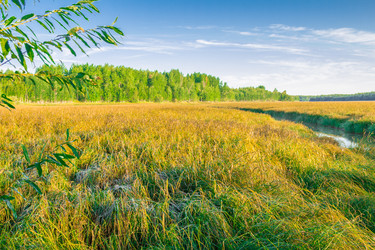 Similar image 7698747