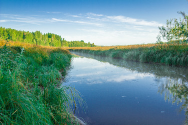 Similar image 7698749