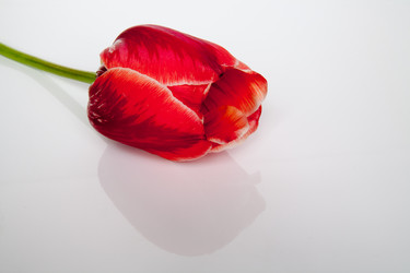 Similar image 7699504