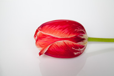 Similar image 7699505