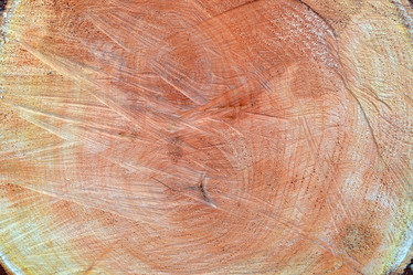 Similar image 7699572