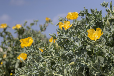 Similar image 7699604