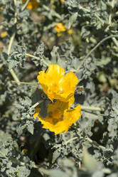 Similar image 7699606