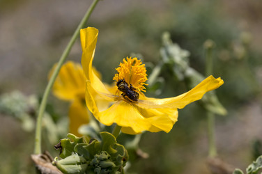 Similar image 7699607