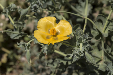 Similar image 7699610