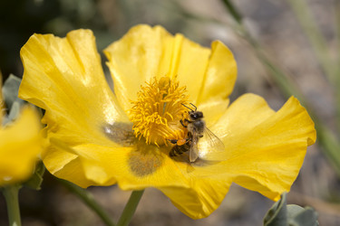 Similar image 7699611