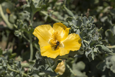 Similar image 7699612