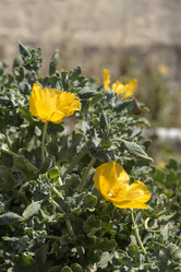 Similar image 7699632