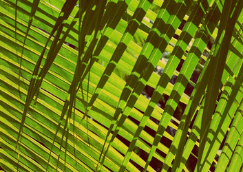 Similar image 7699636