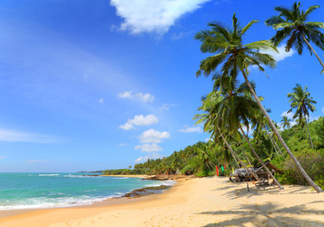 Similar image 7699637