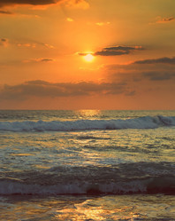 Similar image 7699644