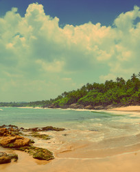 Similar image 7699646