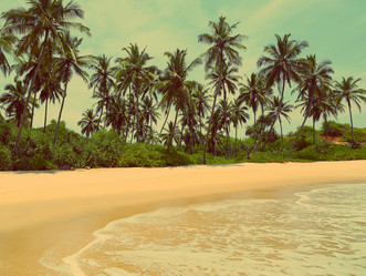 Similar image 7699650