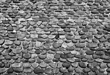 Similar image 7699954