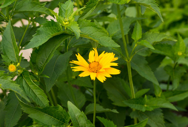 Similar image 7699994