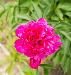 Similar image 7700013